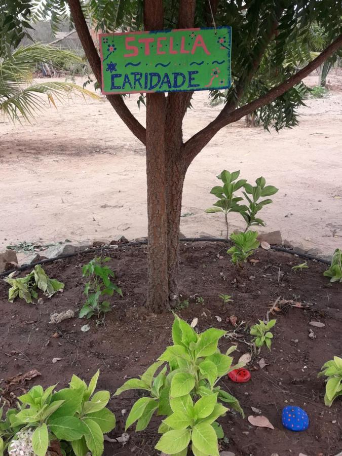 Chalé com Vista Privilegiada Pilões de Dentro Exterior foto