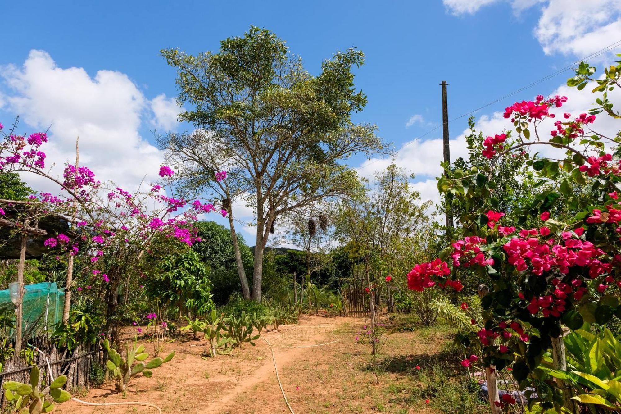 Chalé com Vista Privilegiada Pilões de Dentro Exterior foto